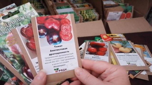 Томаты зеленоплодные и самые полезные томаты с антоцианом. смотреть онлайн