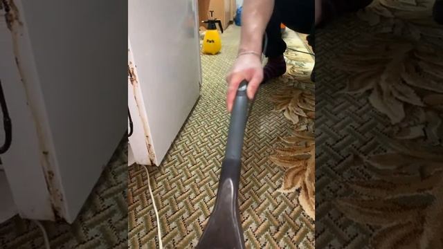 Чистка ковровой дорожки (отзыв клиента и процесс работы) смотреть онлайн