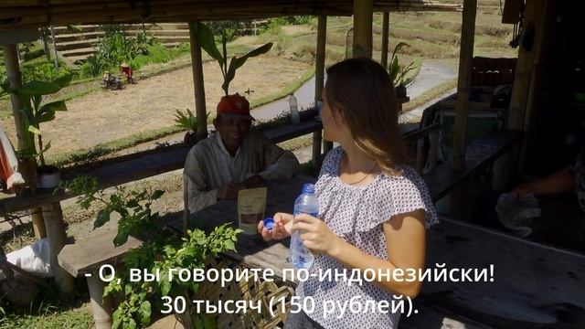 Север Бали: рисовые террасы Джатилувих | Достопримечательности Бали смотреть онлайн