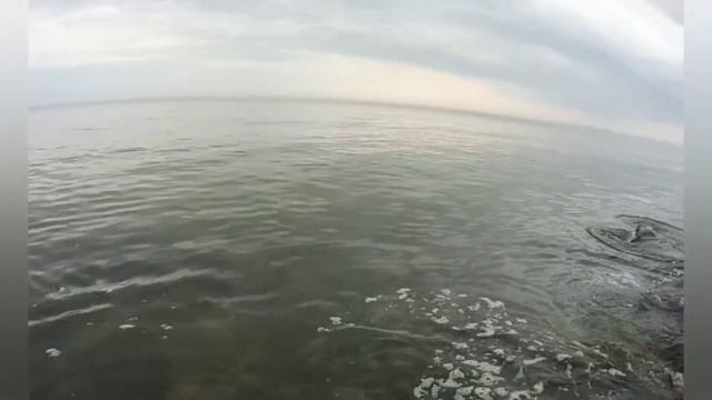 Экшн камера EKEN H6s. Съёмка под водой. Обзор моей экшн камеры. смотреть онлайн