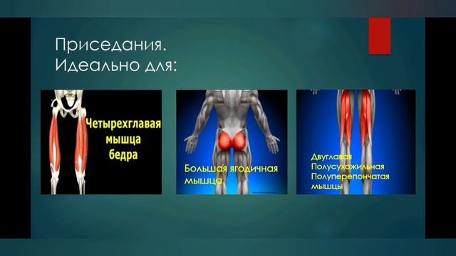 Упражнения на развитие силовых качеств смотреть онлайн