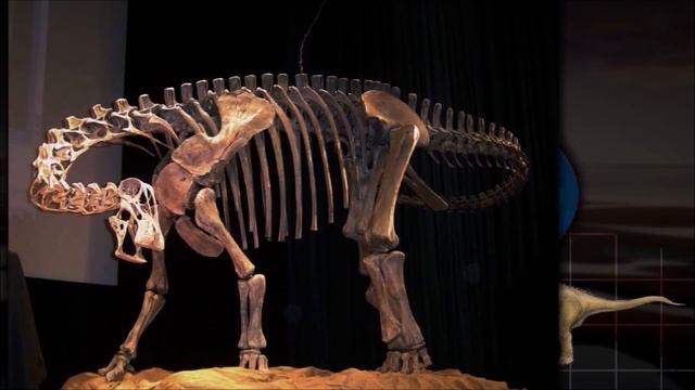 Les Diplodocus (DINOSAURES 2/11) смотреть онлайн