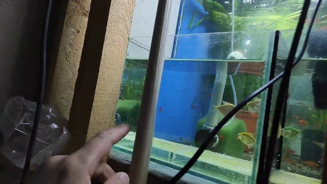 108 нерестовиков подготовлены и часть в работу смотреть онлайн