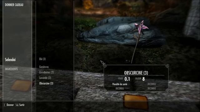 Skyrim SE Episode n°51 : On explore le musée de Solitude ! смотреть онлайн