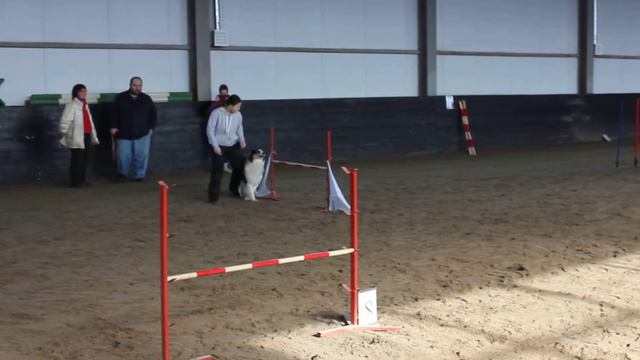 Смирнова Алина + аусси Глори оф Зе Сан с Черной Воды смотреть онлайн