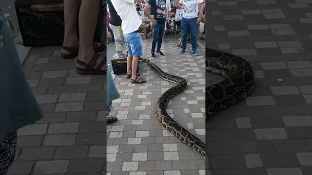 Соль Илецк день 1 часть 2 смотреть онлайн