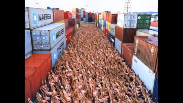 Spencer Tunick