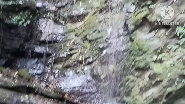 Tui theh kang Part-1| Water diversion to catch fish, shrimp and tadpole смотреть онлайн