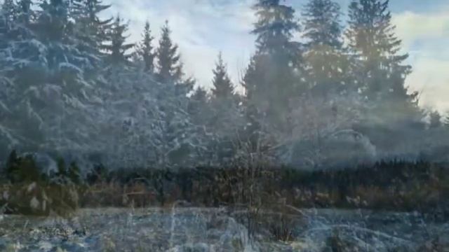 Первый снег в ноябре смотреть онлайн