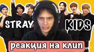 МОЯ РЕАКЦИЯ НА КЛИП STRAY KIDS