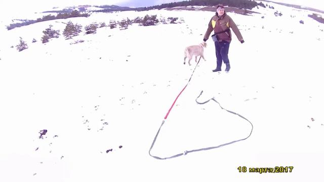 Прогулка по старой ялтинской дороге на плато Ай-Петри смотреть онлайн