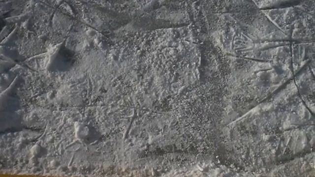 Каток в Зеленограде в 20 районе смотреть онлайн