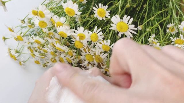 ПОЧЕМУ Я БОЯЛАСЬ ИСПОЛЬЗОВАТЬ МУЛЬТИФУНКЦИОНАЛЬНОЕ СРЕДСТВО OPTIMALS |ЧТО ПОЛУЧИЛА ПРИ ИСПОЛЬЗОВАНИ смотреть онлайн