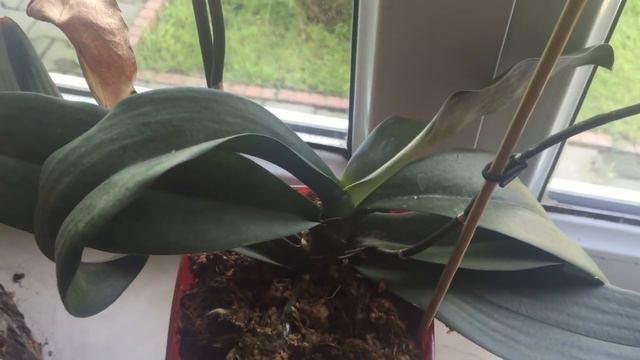 УРААА!!! ДЕТКА! смотреть онлайн