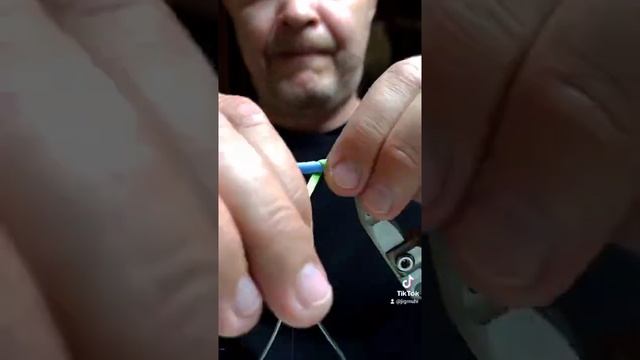 Гусеница Бражника. смотреть онлайн