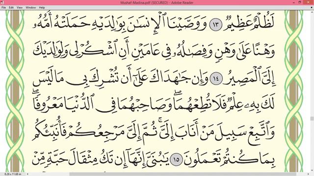 Practice Reciting With Correct Tajweed - Page 412 (Surah Luqman)