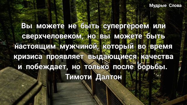 Мудрые Слова о Мужчин, Цитаты о мужчин! смотреть онлайн