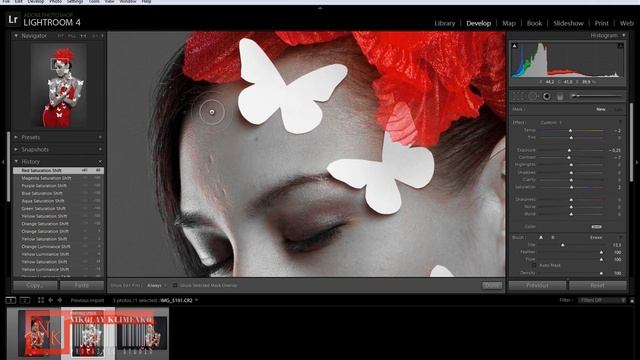 Основы Инструменты Работа в Lightroom (часть 4) HSL COLOR B&W смотреть онлайн