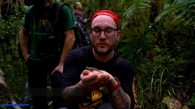 The BIGGEST Chameleon on Earth and 5 More You've Never Heard Of! смотреть онлайн