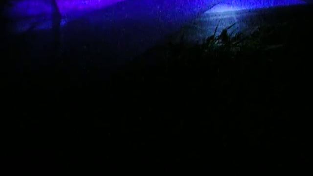 3 2 Борьба с майским жуком - Ловля на УФ лампу и полиэтиленовую пленку смотреть онлайн