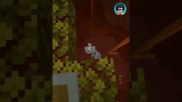 Top Best Clutch Of Dream #shorts #minecraft #dream смотреть онлайн