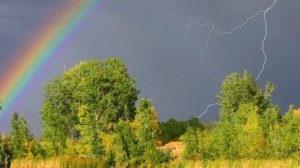 В чём волшебство поэзии (Харцызская центральная библиотека, отдел редкой книги)