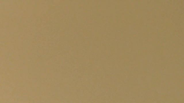 Клещ ползет по полу смотреть онлайн