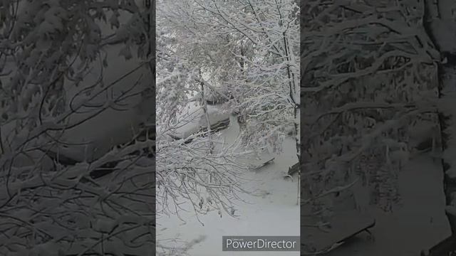 1 ноября 2019 год смотреть онлайн