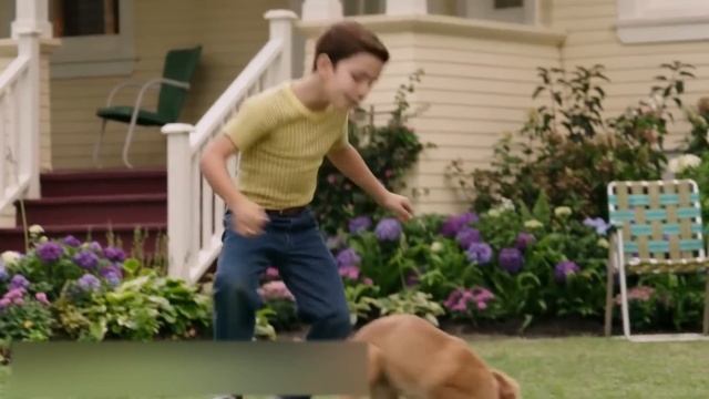 ПОЧЕМУ СОБАКИ ИДУТ ЗА ВАМИ В ТУАЛЕТ? смотреть онлайн