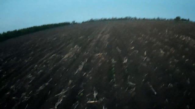 Syngenta подделка? Пересев ужасных всходов подсолнуха Syngenta ЕКСПЕРТО смотреть онлайн