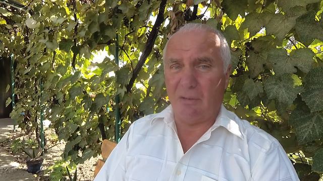 337 ч. ПОДСКАЗКА ЗРИТЕЛЯМ. НЕ ТЕРЯЙТЕ НАС. смотреть онлайн
