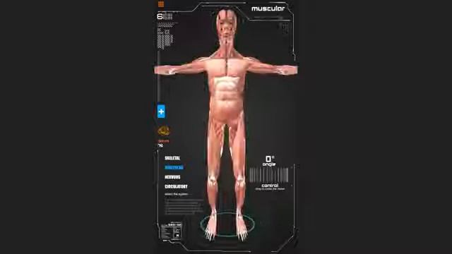 Интерактивная презентация смотреть онлайн