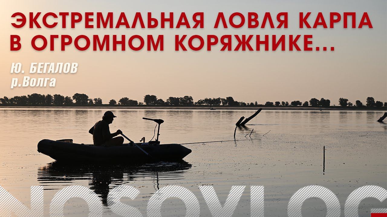 Экстремальная ловля карпа в огромном коряжнике, Ю. Бегалов, река Волга смотреть онлайн