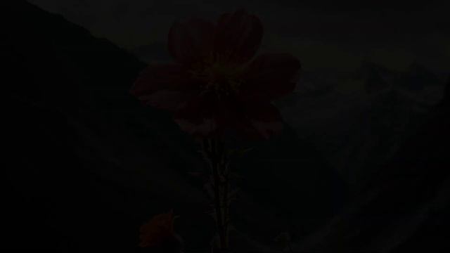 SAD ORIGIN Story of DR. FLUFFYPANTS ! Garten Of Banban 4 Real Life смотреть онлайн