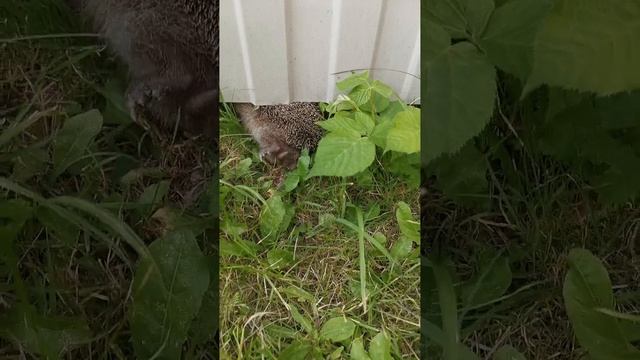 Думала ЗАСТРЯЛ! смотреть онлайн