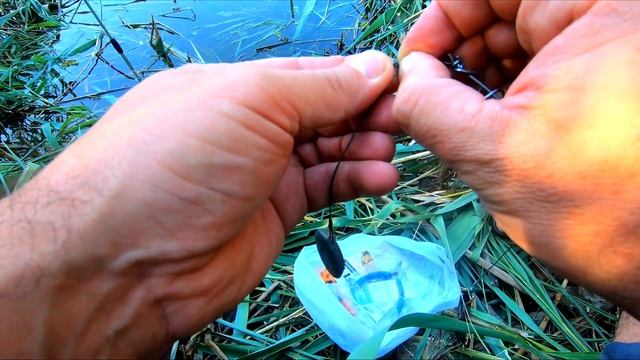 Кормачок за 2 минуты на карпа и карася. монтаж оснастки смотреть онлайн