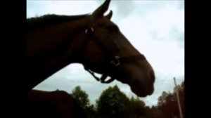 далеко,далеко  на лугу пасутся ко...