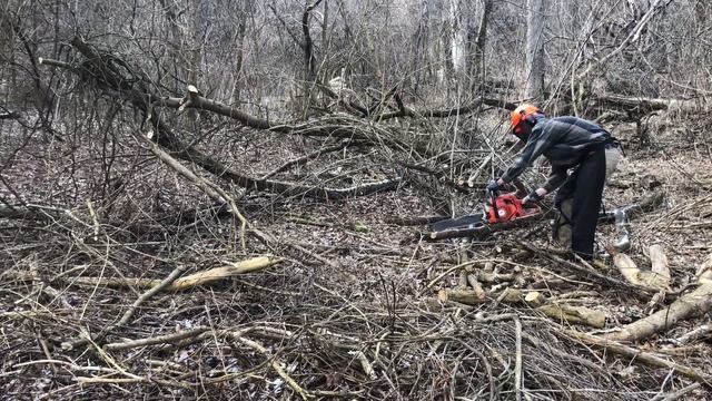 #194 Clearing land, Dolmar 7300, Stihl ms 250 chainsaw. Outdoor action! смотреть онлайн