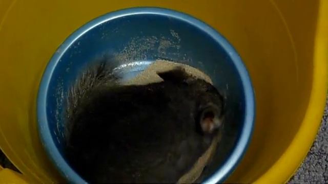 Ожившая игрушка смотреть онлайн