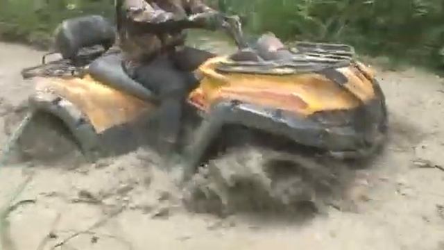 Дай жару в лесной сказке смотреть онлайн