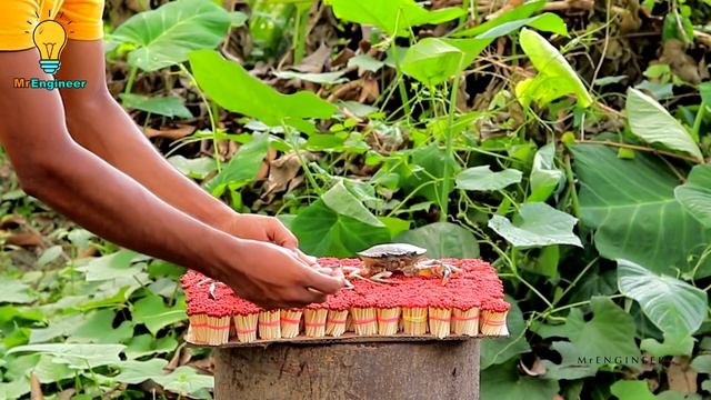 EXPERIMENT 50,000 Safety Matches vs CRAB Lobster смотреть онлайн