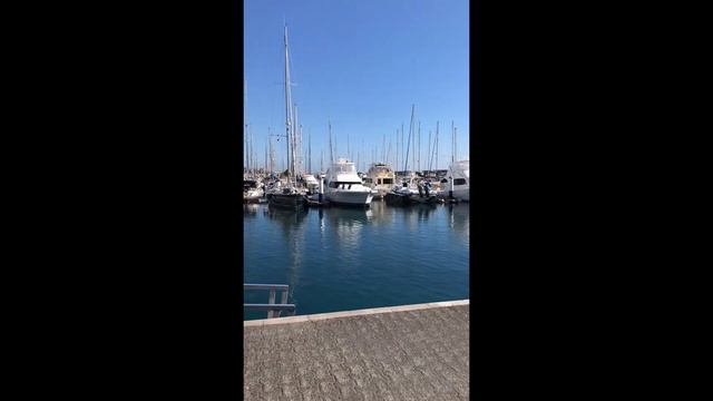 Canary Islands. Day 14 смотреть онлайн