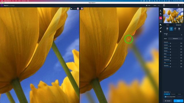 Topaz Mask Ai (Photoshop Plug-in) Tips for Quick and Excellent Results... смотреть онлайн