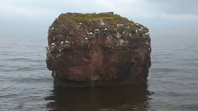 Белое море - Терский берег - Чаячья скала смотреть онлайн
