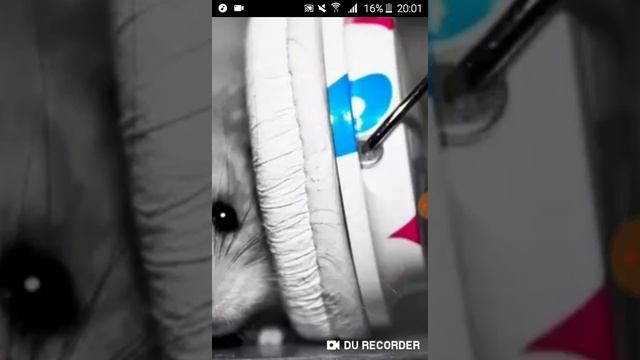 ПоДбОрКа КаРтИнОк БеЗ ЗвУкА.