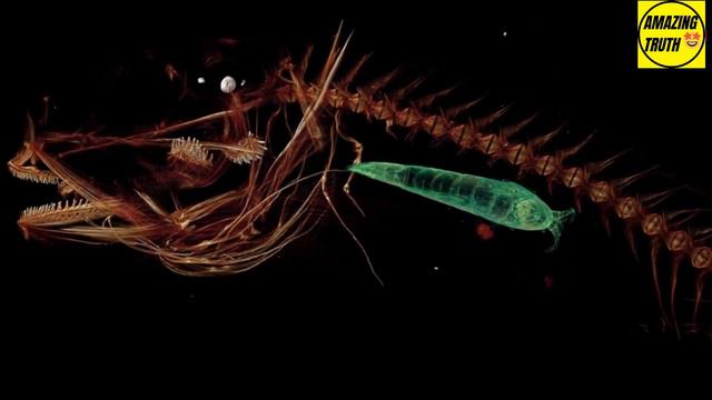 Record-breaking Journey To The Bottom Of The Ocean  #worldrecord