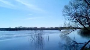 Лодка Афалина 315 и Тохатсу 9.8