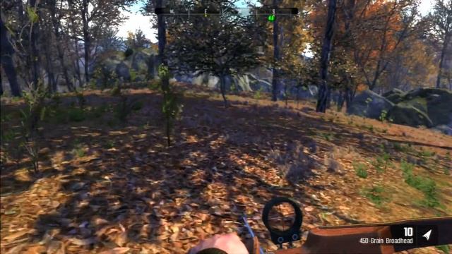 Cabela's Big Game Hunter: Pro Hunts [Southeast Region] - "Hogzilla" смотреть онлайн