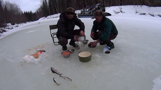 Чистота и уют: чистая гармония