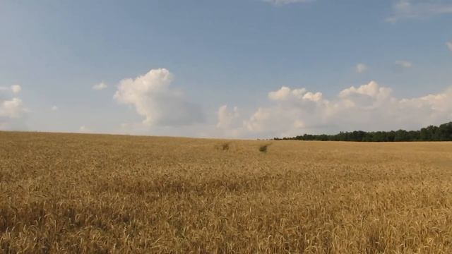 VLOG: вокруг Шебекино